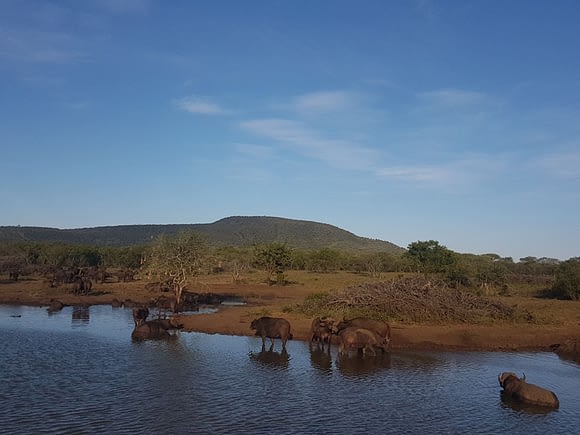 Zeekoepan Safaris About